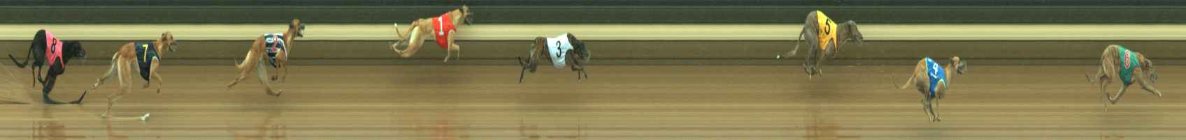 Race result finish photo